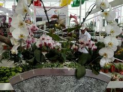 -骏途旅游
