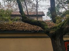-颐和路民国时期公馆风貌区
