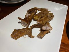 鹅掌亦-优之名鹅城