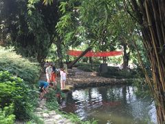 -成都市活水公园