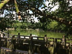 -广东茂名森林公园