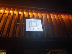 -TINY