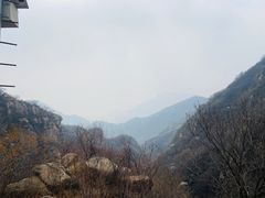 -大岭沟猕猴桃谷风景区