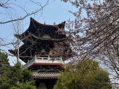 -武汉园博园(武汉自然博物馆)