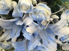 -奔驰利星行(北京花乡店)