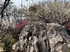 -南京古林公园