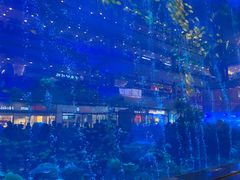 -成都浩海立方海洋公园