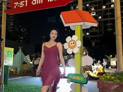 -远洋未来汇