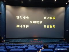 -春天国际影城(中庚漫游城杜比全景声店)