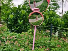 -云溪植物园