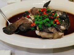 红烧大海洋虎翅-香樟花园新粤料理(无锡万象城店)