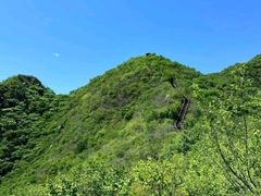 -大岭沟猕猴桃谷风景区