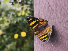 -白帝城·瞿塘峡景区