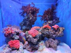 -多彩贵州城极地海洋世界