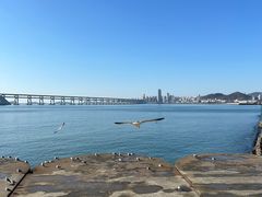 -星海广场