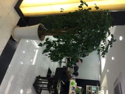点击看大图 组合发型(龙茗路店)-组合发型