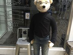 -济州岛泰迪熊博物馆