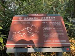 -九曜山
