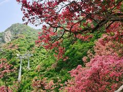 -木兰云雾山