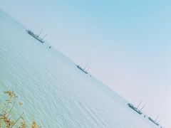 -贡湖湾湿地公园