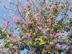 -人民公园(罗湖区)