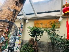 -丽江庭院之丽江往事(安定门店)