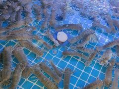 -鼓歌海鲜舫·手抓海鲜(大学城店)