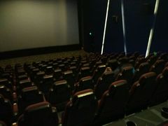 奇幻森林上映时不是周末，人特别少，和两位闺密来看的-嘉华国际影城(学清路店)
