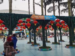 -海合安成都极地海洋公园