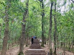 -紫金山山顶公园