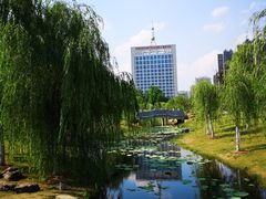 -滨湖塘西河公园