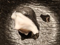 -牛New寿喜烧(中山公园龙之梦店)