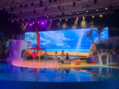 -三亚海昌梦幻海洋不夜城