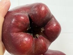 -舒婷果业(万美店)