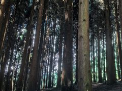 -太阳湾风景区