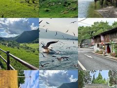 -汉中石门栈道风景区