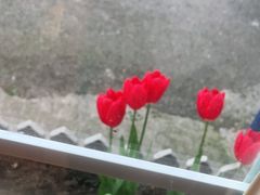 -绝城芋儿鸡(犀浦旗舰店)