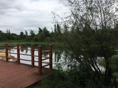 -才村湿地公园