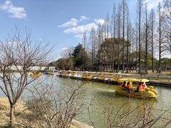 -苏州上方山国家森林公园