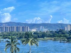 -西双版纳原始森林公园