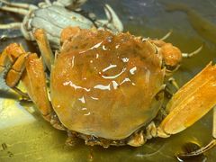 -忆口香龙虾(珠海夏湾老店)