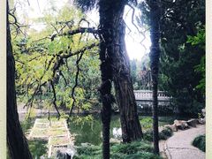 -叶家花园