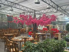 -老磨油饼(高陵店)