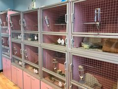 -藦茜花园宠物主题亲子互动体验馆(国顺东路店)