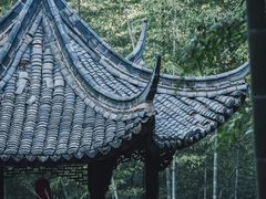 -仙霞关景区