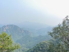 -大岭沟猕猴桃谷风景区