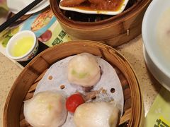 金牌虾饺皇-点都德(大茶楼店)