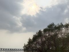 -宝安西湾红树林湿地公园