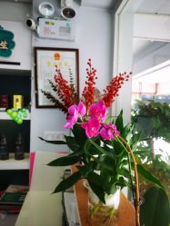 -章光101防脱养发荟