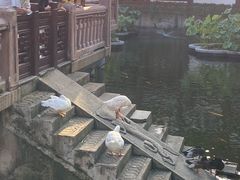 -豫园湖心亭茶楼